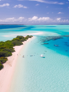 马尔代夫 IMUGA 电子入境卡 5分钟后订单中提取 24小时直连移民局 — 入境卡在线申请